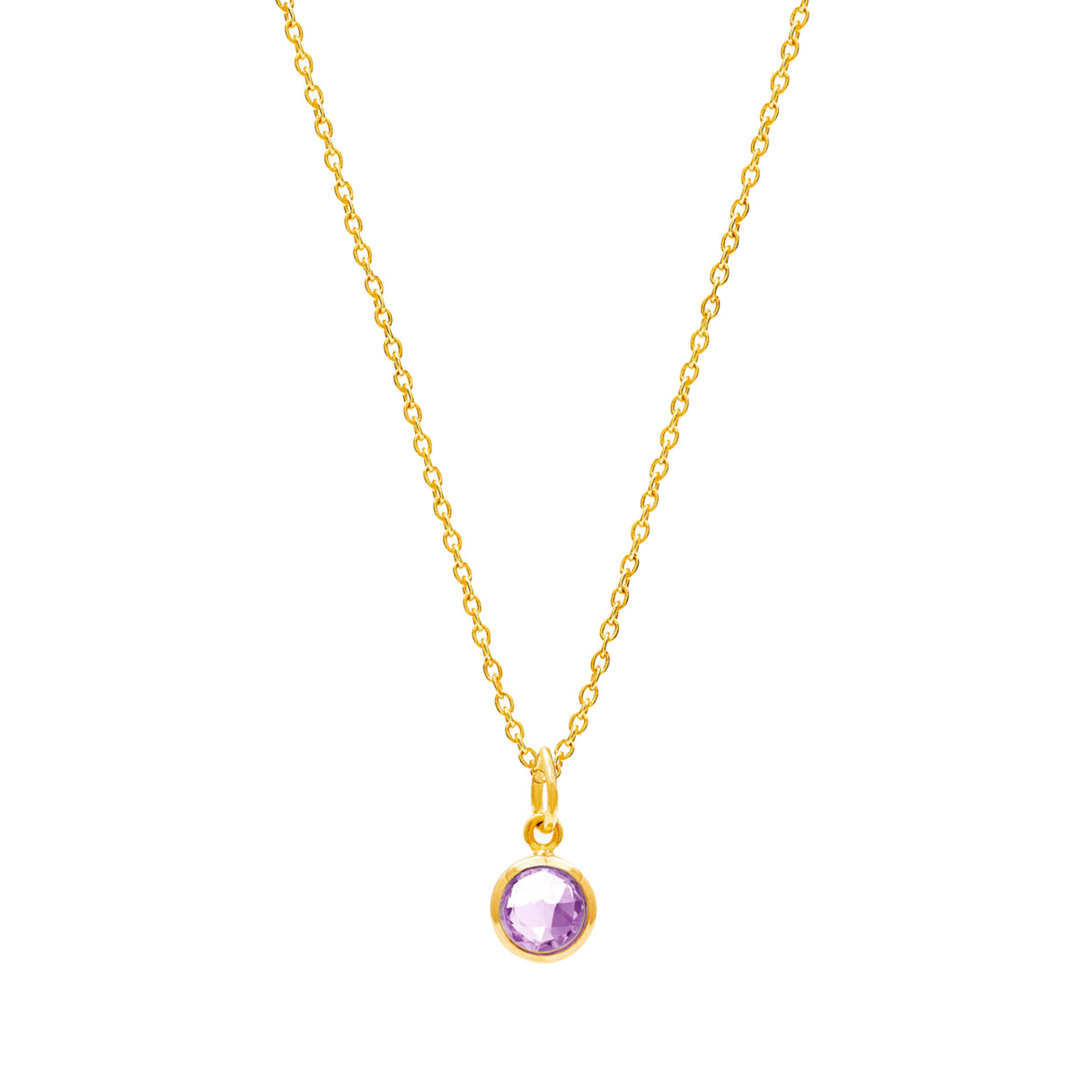 Gold Birthstone Necklace with Amethyst (February) - Lulu B Jewellery