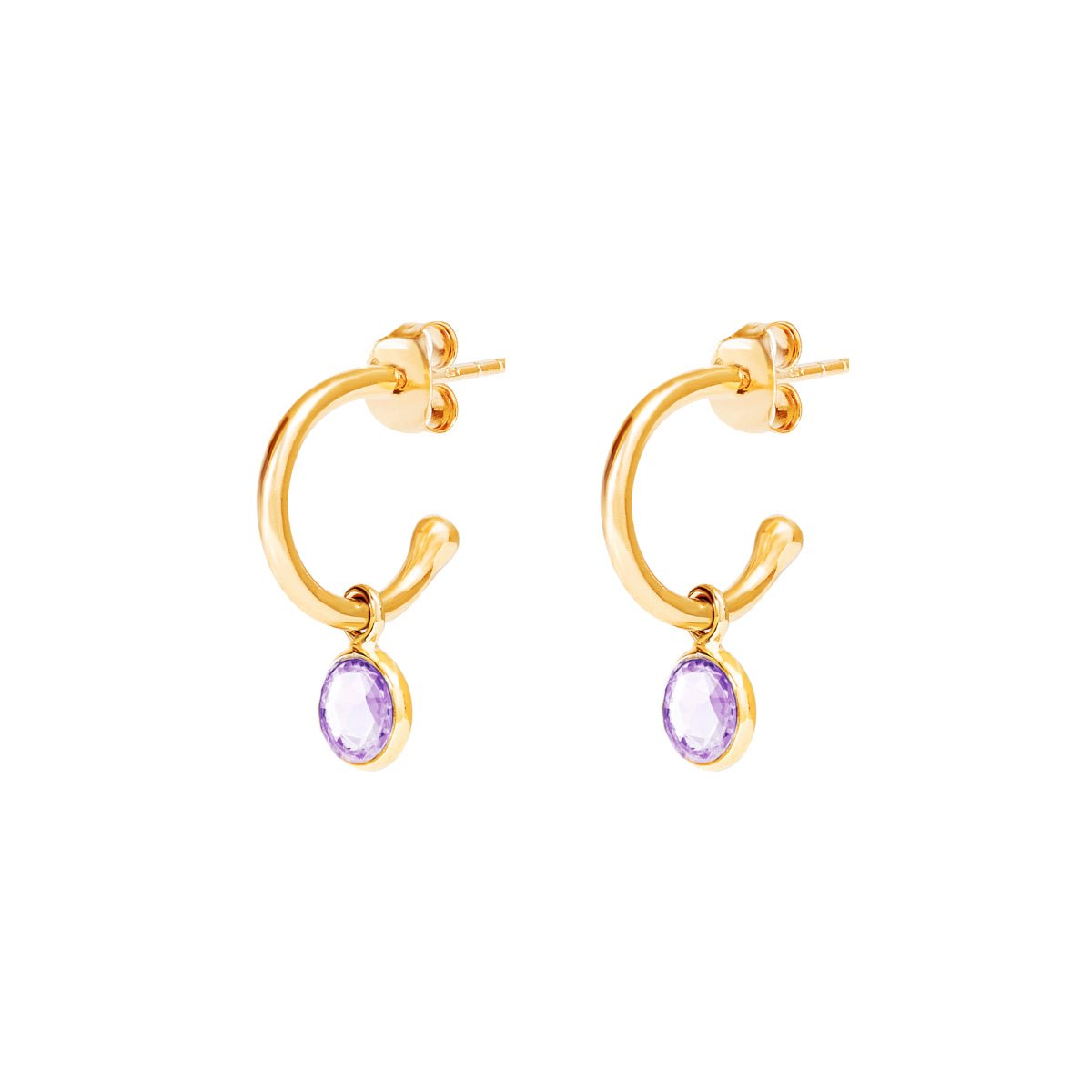 February Birthstone Gold Hoop Earrings - Amethyst (Charm sold with hoops or individually) - Lulu B Jewellery