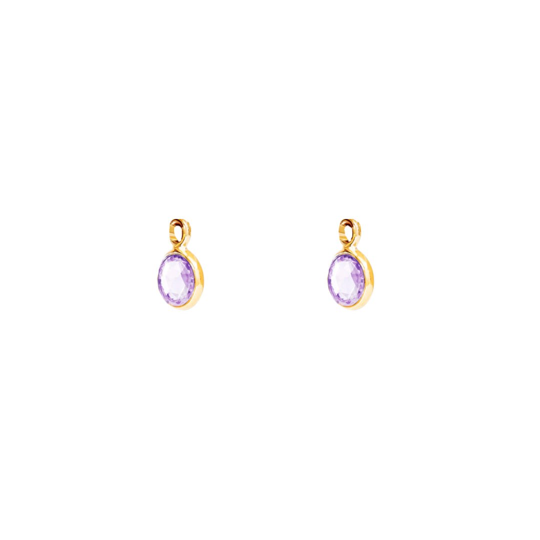 February Birthstone Gold Hoop Earrings - Amethyst (Charm sold with hoops or individually) - Lulu B Jewellery