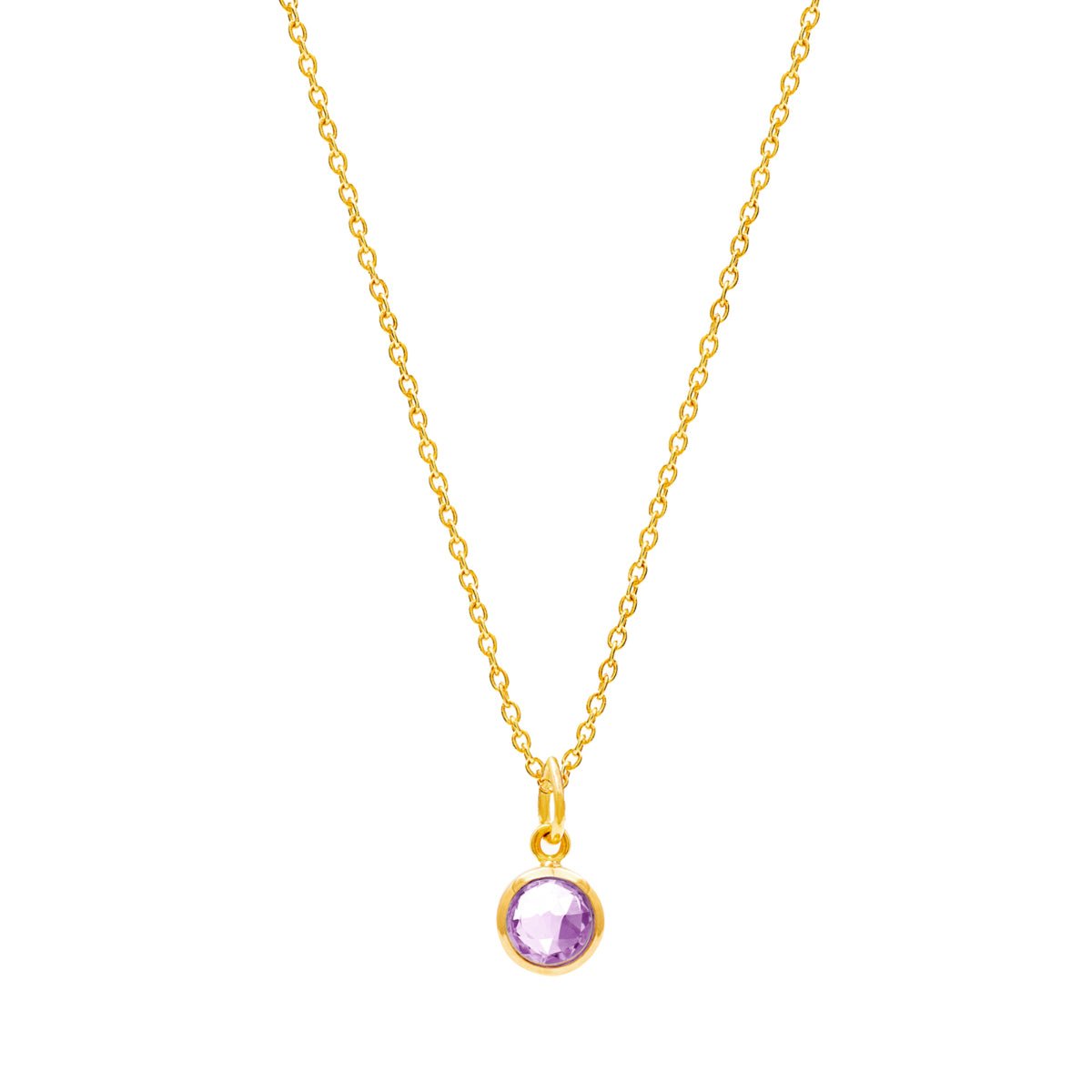 February Birthstone Gold Necklace - Amethyst (Charm sold with chain or individually) - Lulu B Jewellery