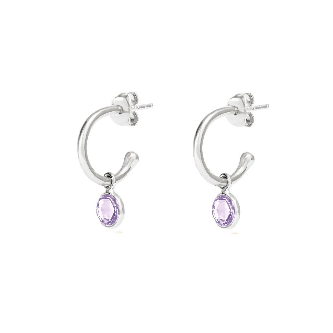 February Birthstone Silver Hoop Earrings - Amethyst (Charm sold with hoops or individually) - Lulu B Jewellery