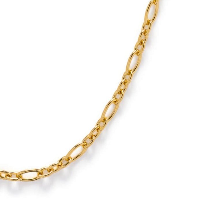 Gold Chain Necklace - Fine Fetter - Lulu B Jewellery