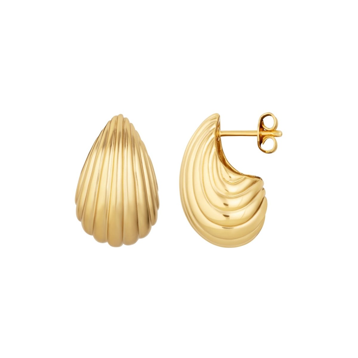 Shell Gold Stud Earrings - Ripple - Lulu B Jewellery