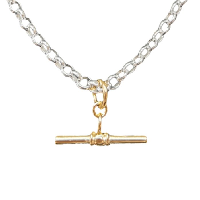 T - Bar Mixed Metal Belcher Chain Necklace - Lulu B Jewellery